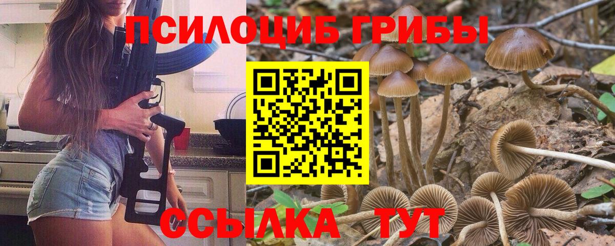 Галлюциногенные грибы Magic Shrooms  Вход с VPN  что такое наркотик  Псилоцибиновые грибы Cubensis  Надым 